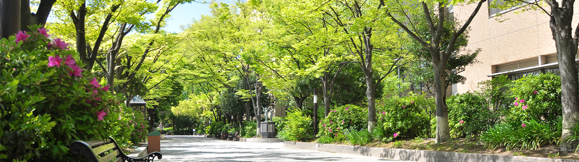 園田学園大学