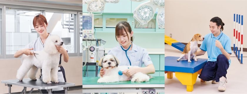 中央動物専門学校