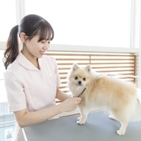 北海道どうぶつ・医療専門学校