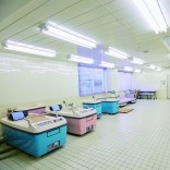 和泉大学