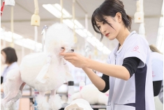 中央動物専門学校